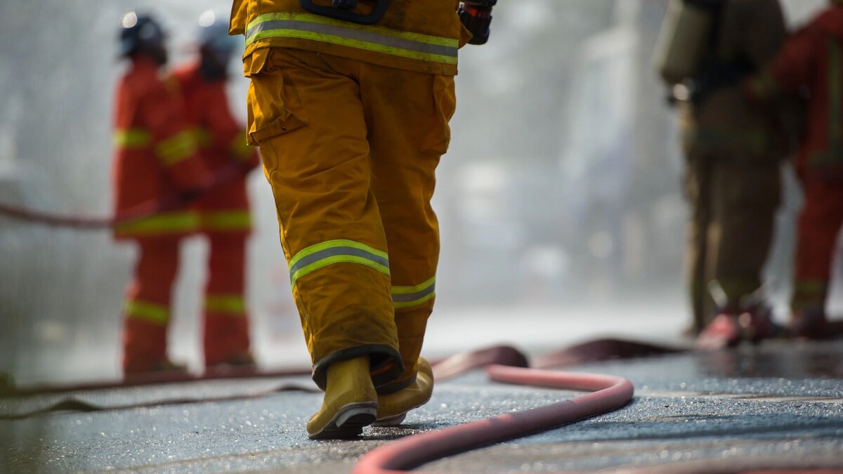    Фото: sandyman/Shutterstock/Fotodom