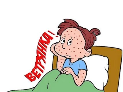    Фото: Открытый источник