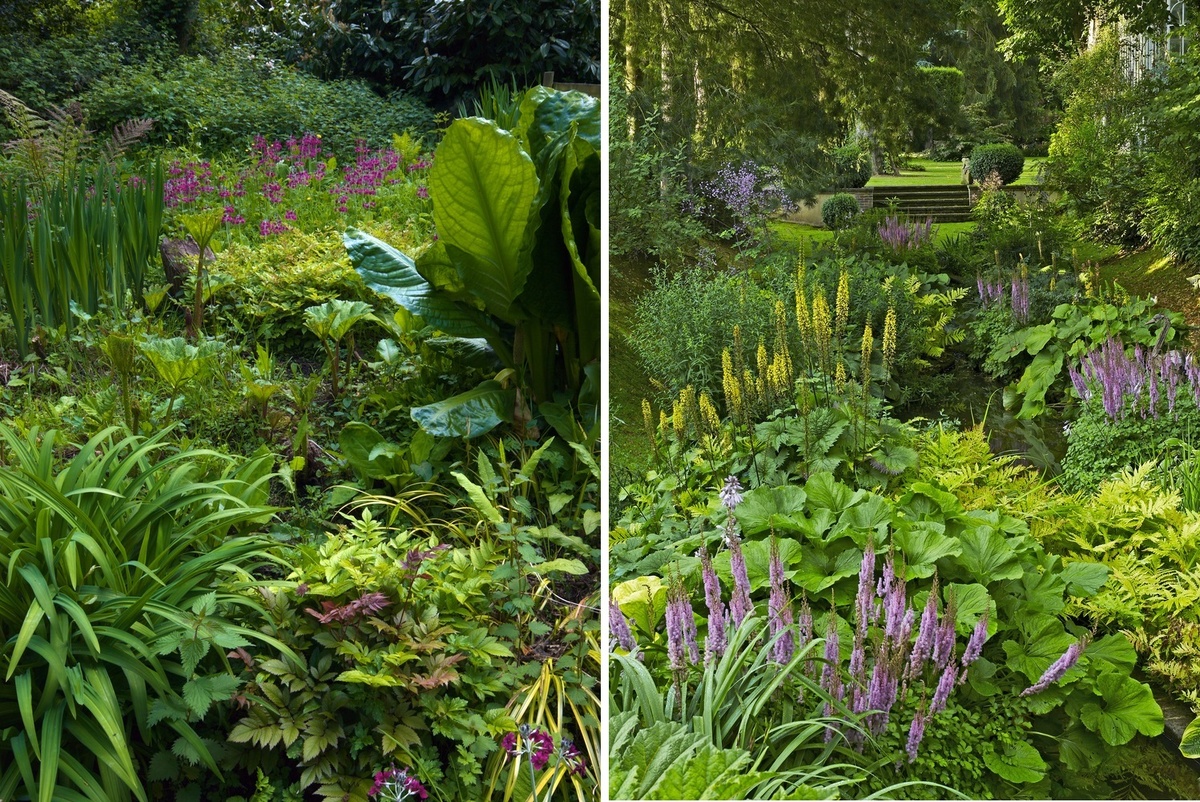    Наиболее гармонично болотный садик смотрится в нижней точке участка