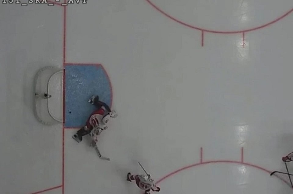    Судья пожизненно отстранен за засчитанную шайбу в хоккейном матче. Фото: стоп-кадр | видео.