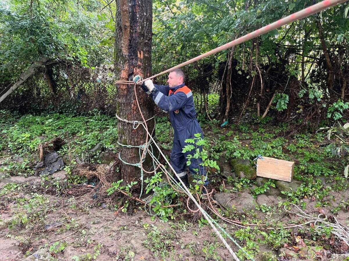    Фото t.me/opershtab23