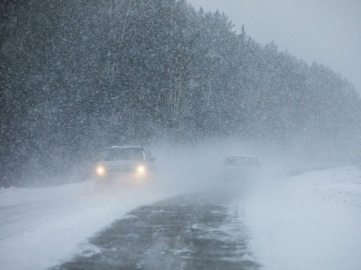    Фото: Госавтоинспекция Забайкалья   📷   Фото: Госавтоинспекция Забайкалья
