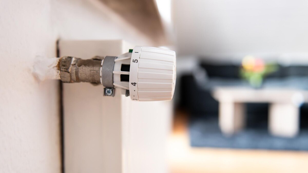    Фото: Silas Stein/globallookpress.com