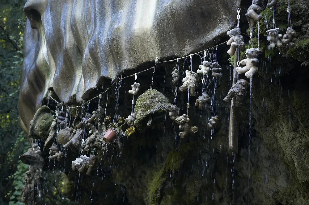 Shutterstock / FOTODOM / Daniel Heighton