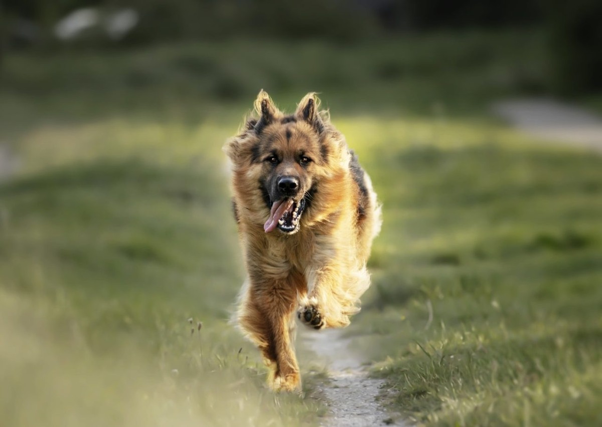     Изображение от wirestock на Freepik