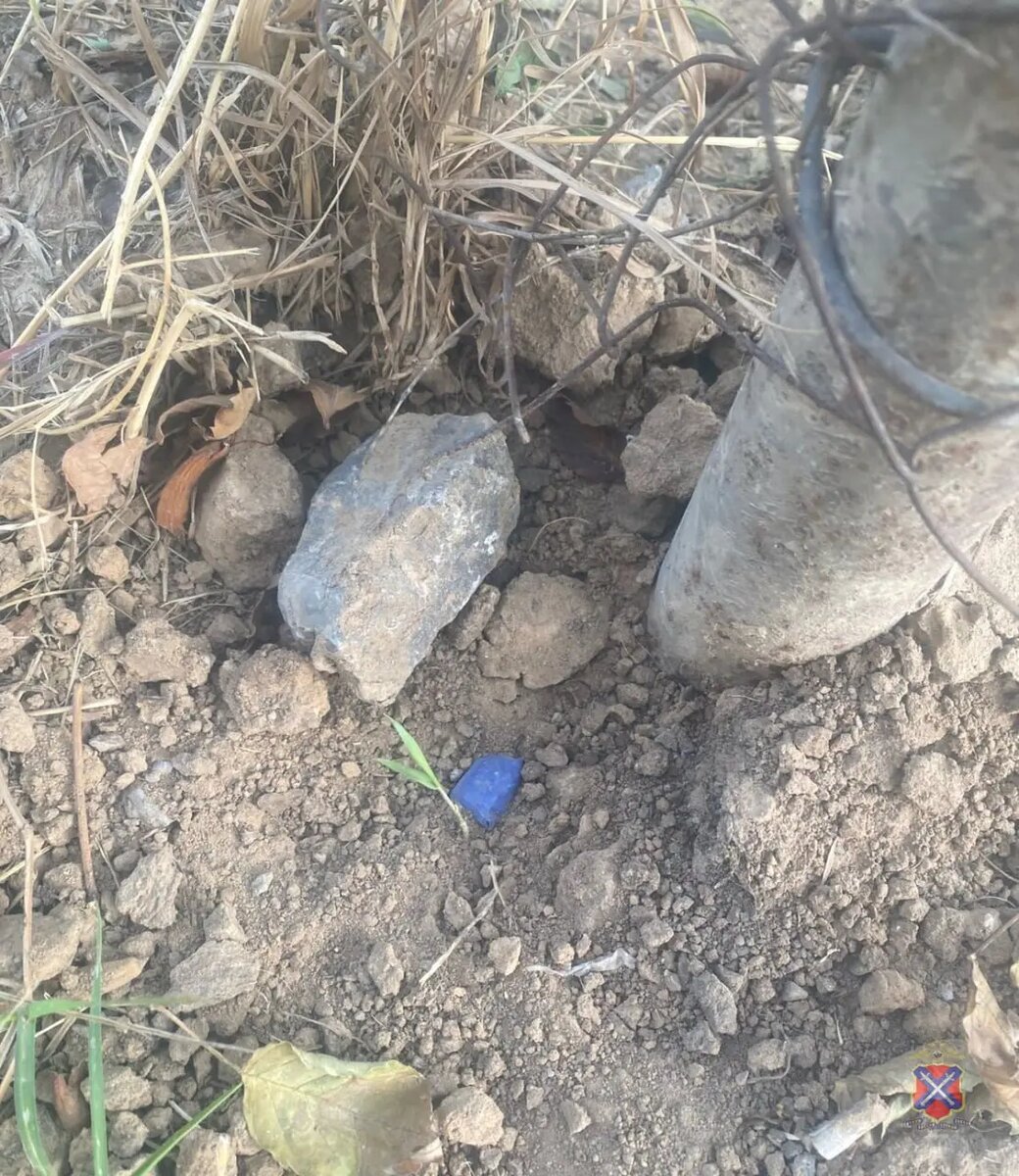    Фото: ГУ МВД России по Волгоградской области