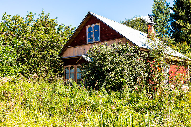    Shutterstock/FOTODOM