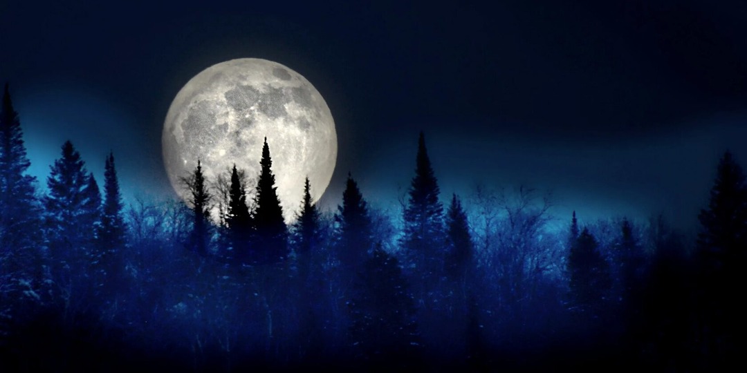 Почему природа УСПОКАИВАЕТ?