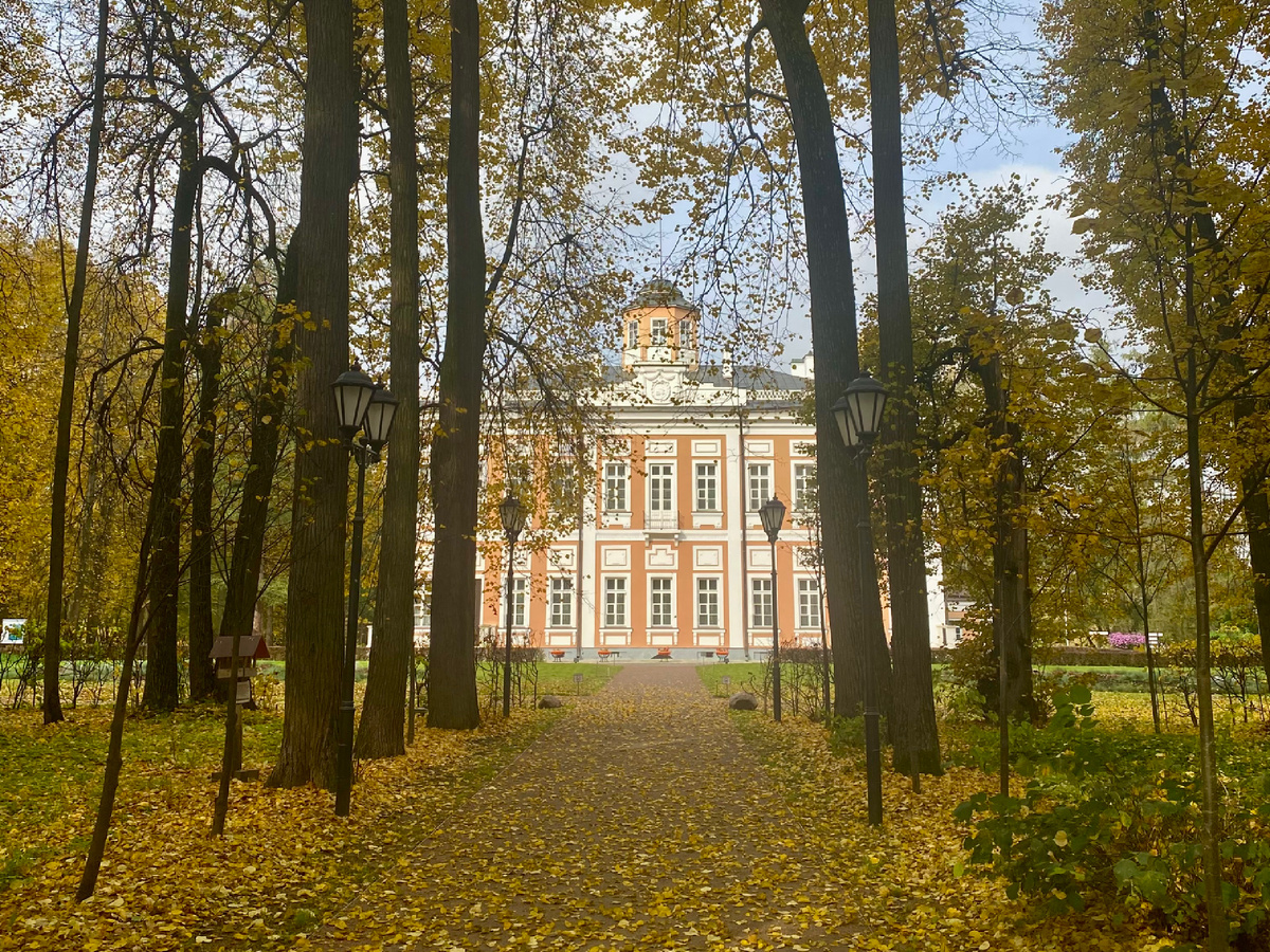 Вид на главный дом с парковой аллеи