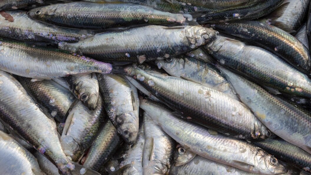    J.Koehler via www.imago-images.d/imago-images.de/Globallookpress