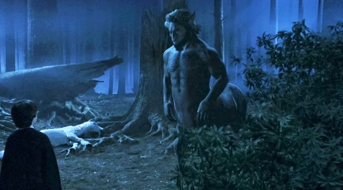     Кадр из фильма «Гарри Поттер и философский камень» (2001)