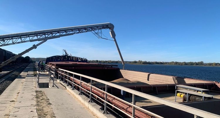    Фото: ФГБУ ЦОК АПК