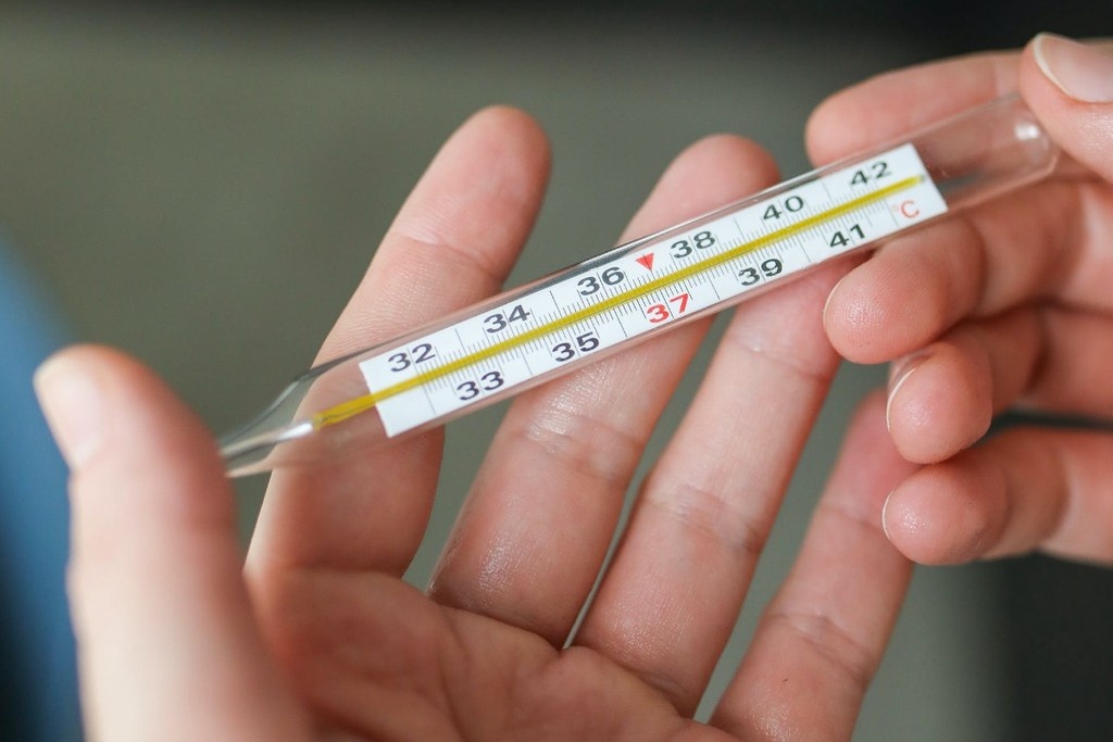    Фото © Pexels.com