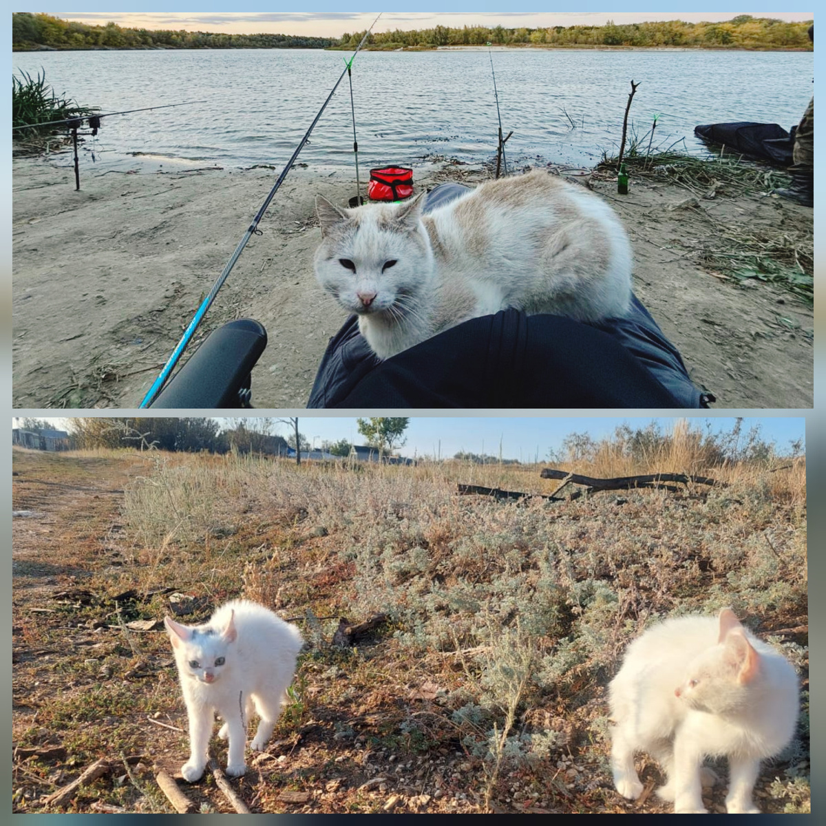 Спасенная троица 