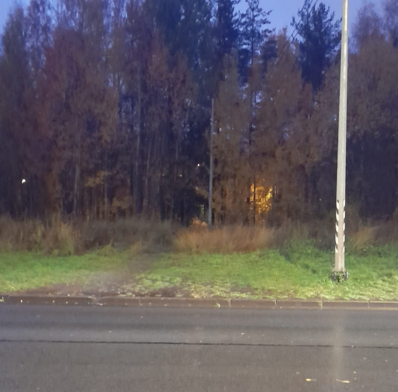    Подросток попал под колеса автомобиля в ПетрозаводскеГАИ Петрозаводска