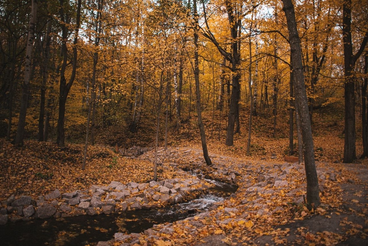 Проект «Стратегия развития Казанки»