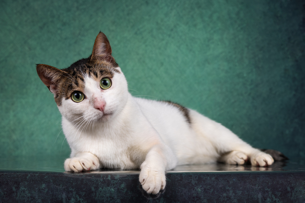 И снова здравствуйте!