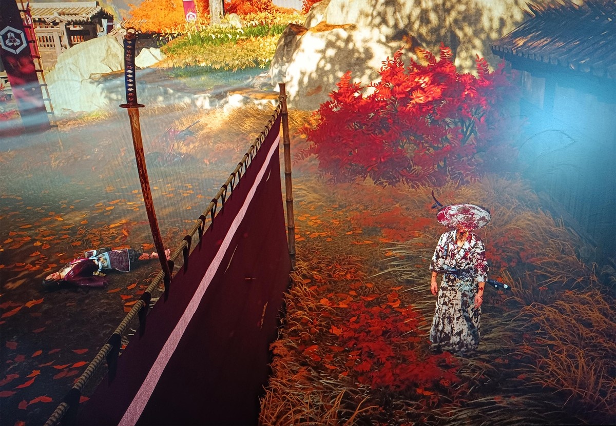 Катана Ацу на веревке  📷
