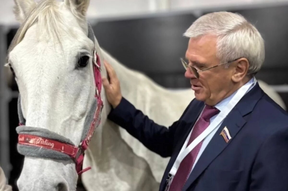   Спикер ЗСНО Люлин занял 2 место в списке самых медийных законодателей РФ