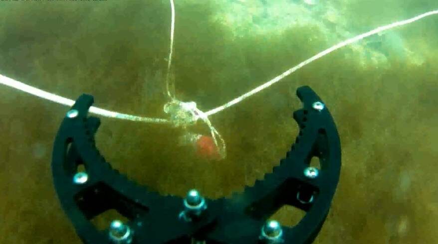    Источник фото: