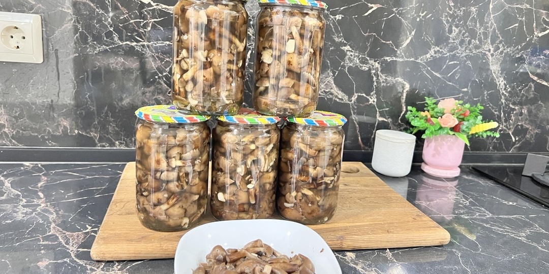 Рецепт приготовления опят на зиму