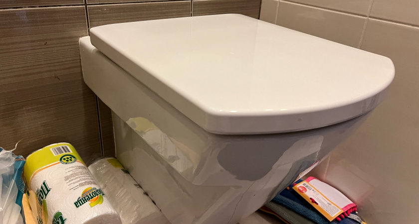    После этой истории вы начнете бояться даже смотреть в сторону унитаза: теперь всегда опускаю крышку и вам советую