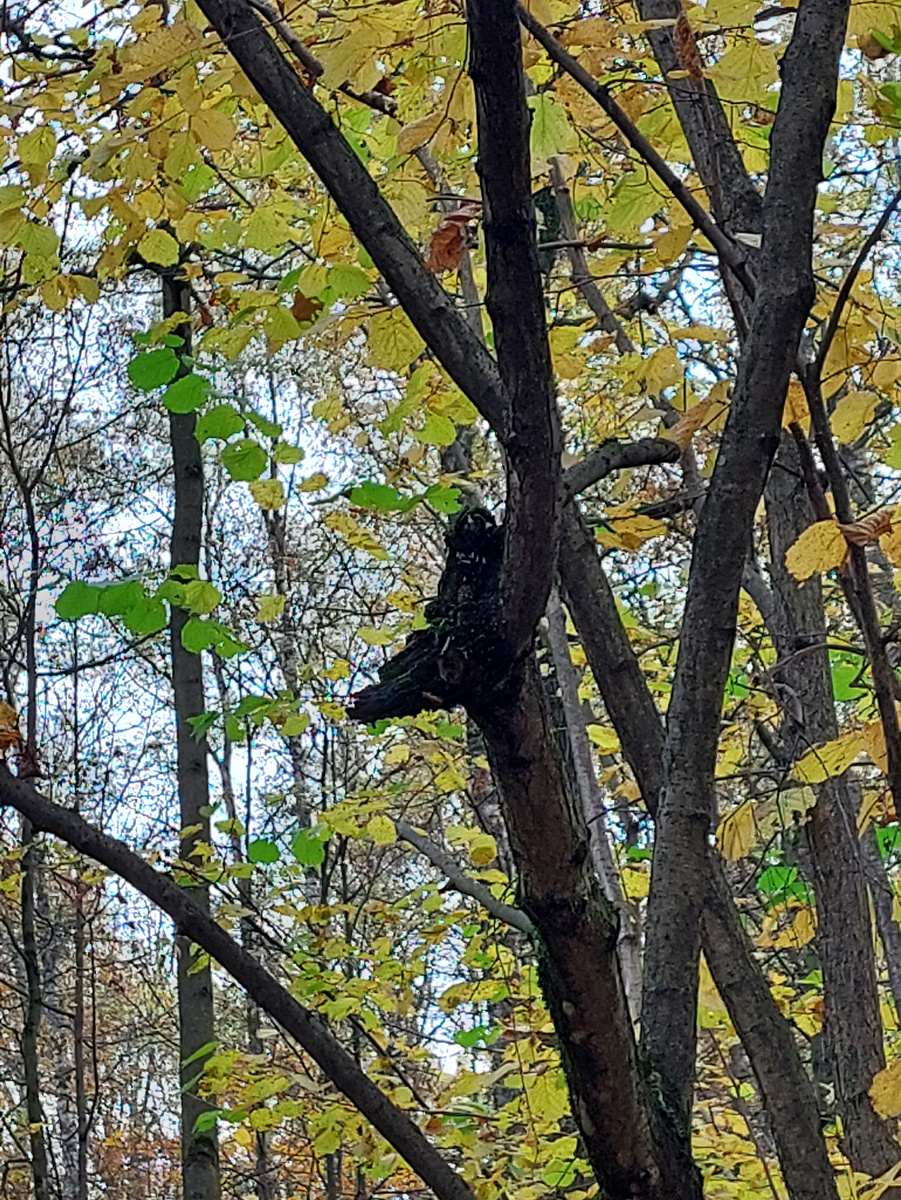 Фото автора статьи