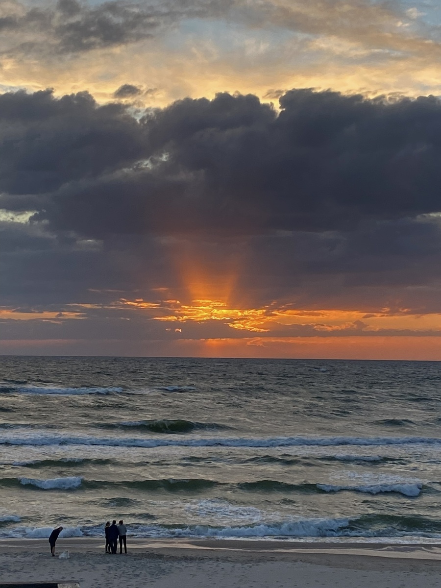 Ноябрь на Балтике — это когда чайки тоже не вылетают без шарфа.