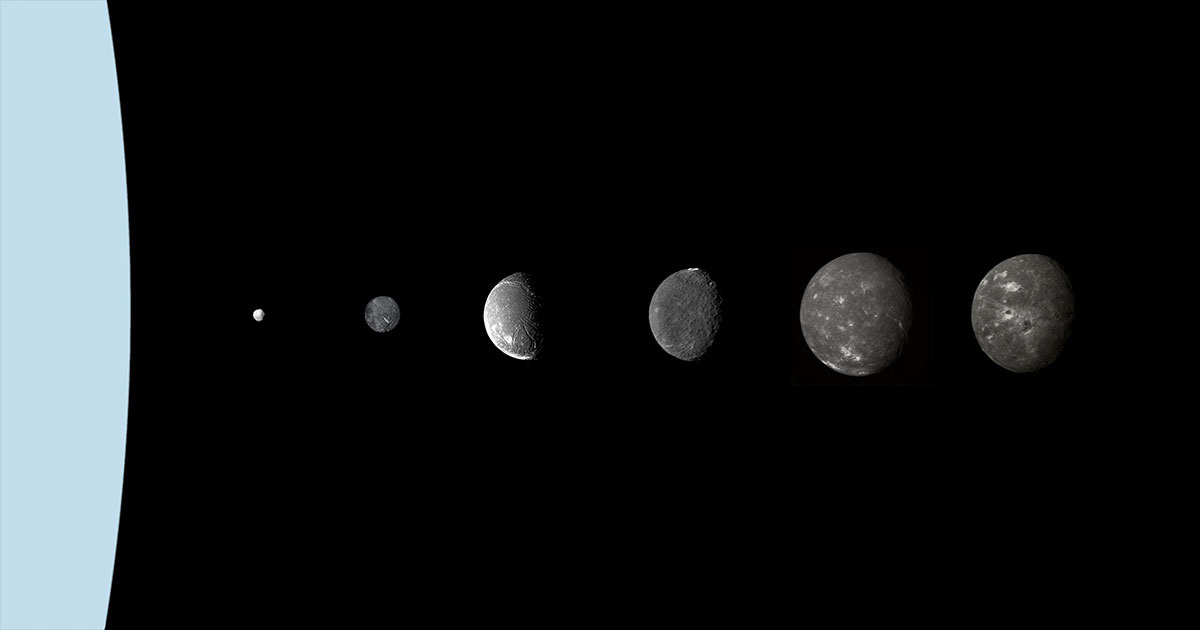 CactiStaccingCrane / Wikipedia