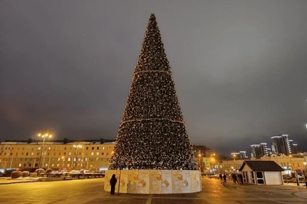    В Пензе могут заменить главную городскую елку