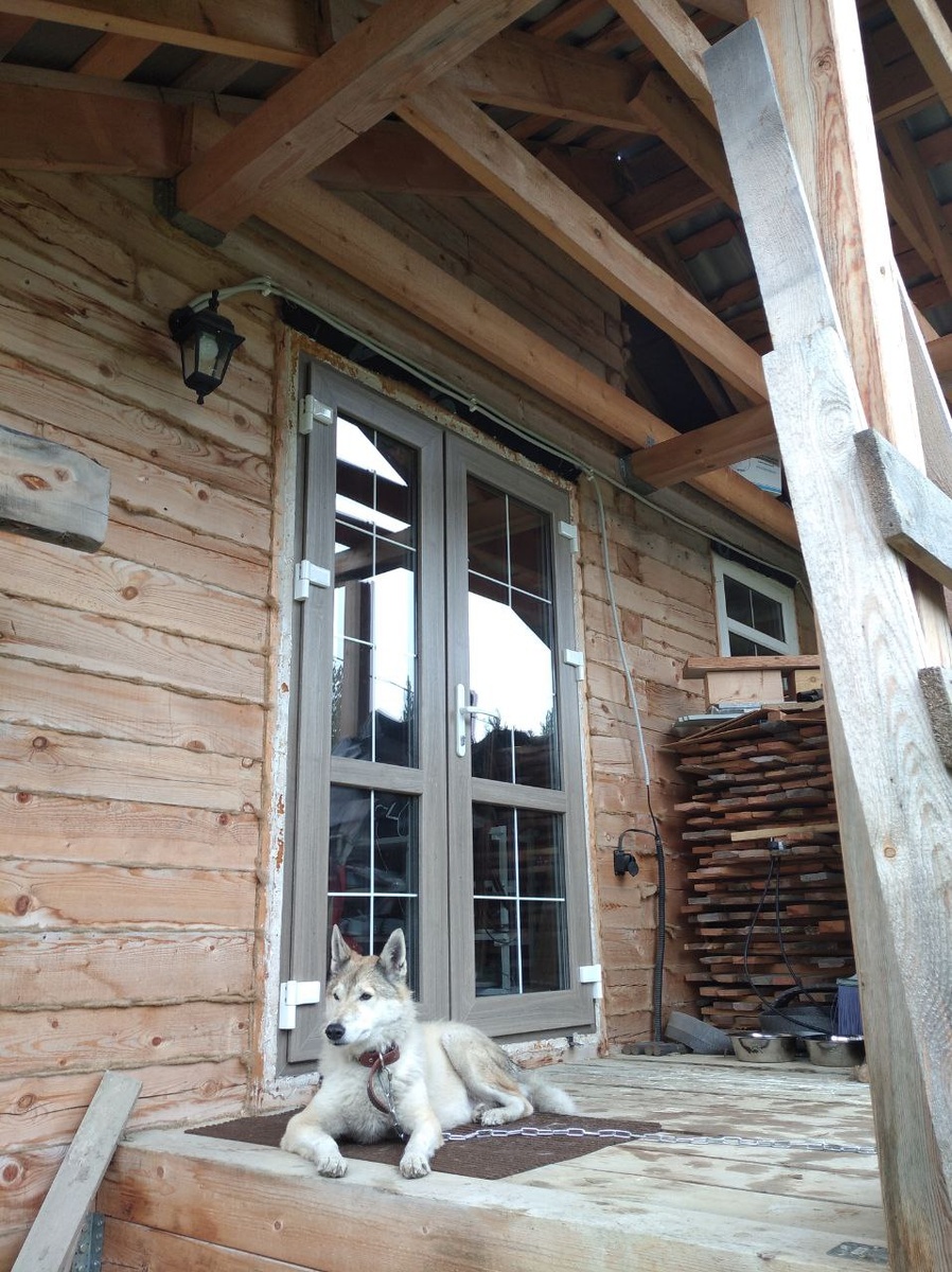 Вот такой она к нам попала. Вылитый волк в миниатюре. Придверный коврик прихватизировала сразу.