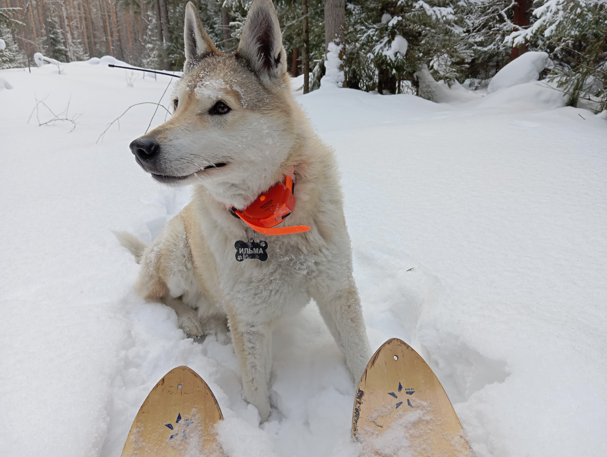 спустя пол года