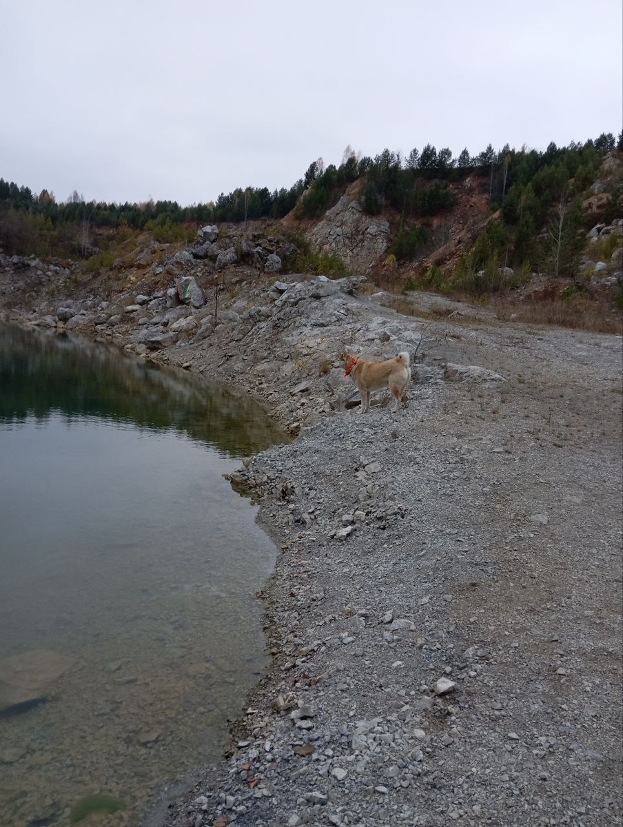 спустя 2 года