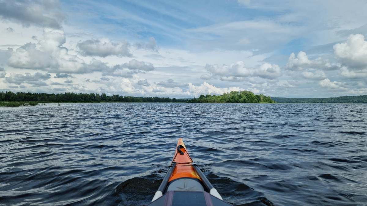 Волга решила, что у меня слишком мало кардио, и включила “Программу похудения”. 😅