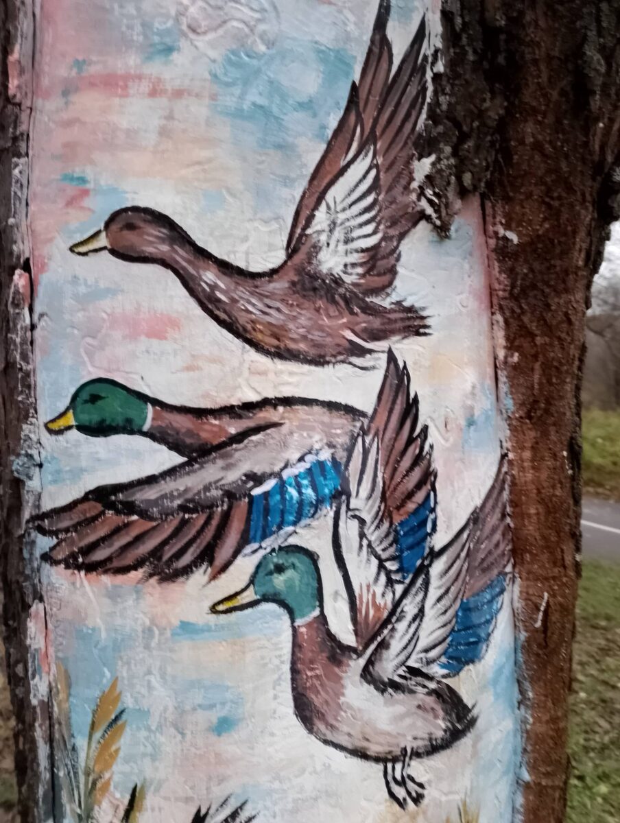 Картинка в определенном смысле- теория, модель реальности. Иногда бывают красивые, но реальность всегда привлекательнее.