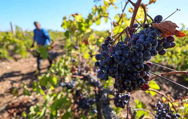 Сергей Мальгавко/ТАСС