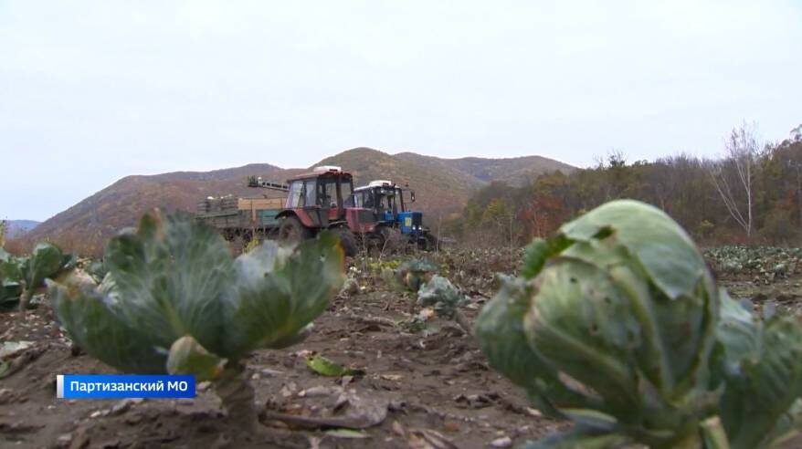    Источник фото: