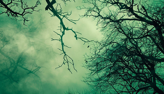 15 октября наступает Куприянов день, когда особенно опасались нечистой силы. Фото: 1MI