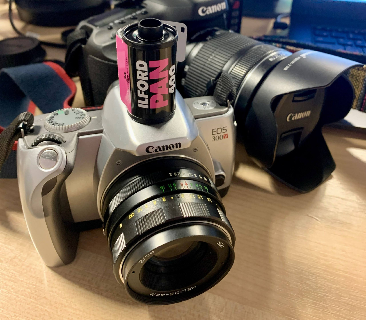 Все фотографии в статье сделаны на Canon 300V. Объективы: Helios 44M / Canon 75-300 III. Пленка Ilford PAN400.