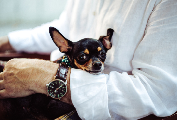 фото: pxhere.com