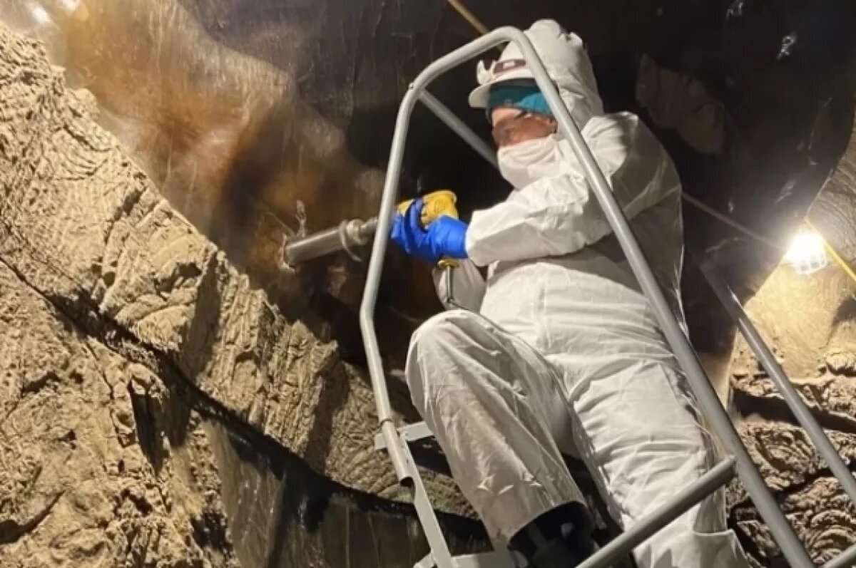    Ученые «разбудили» микробов с Аляски, которым 40 тыс. лет