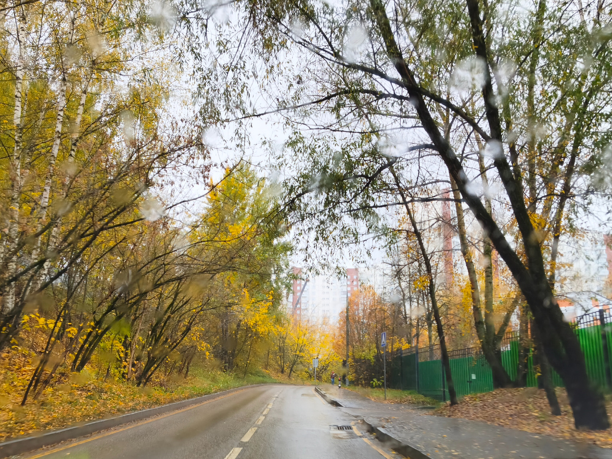 Осень, дожди, холод. Бррр!
