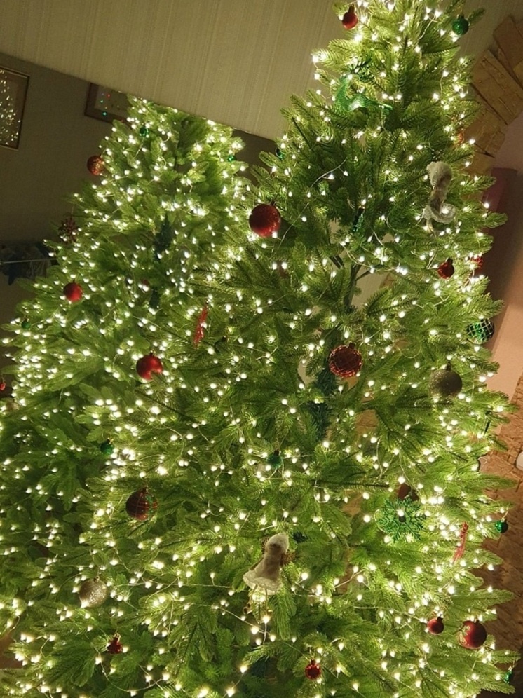     Фото: Аноним 03 Вконтакте.