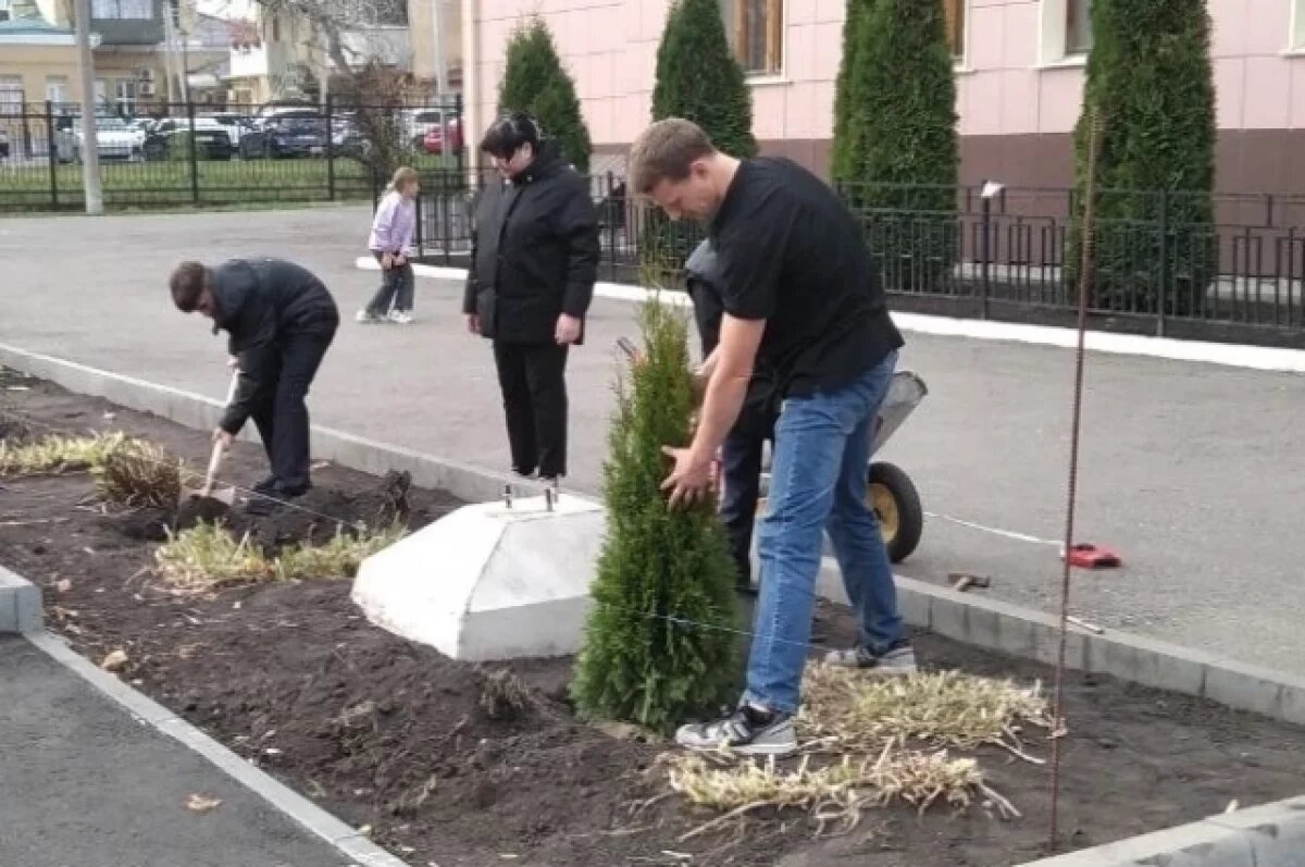    150 саженцев туи передали в образовательные учреждения Пензы