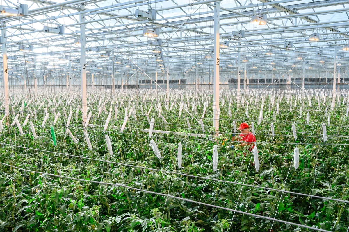 ТК Пермский