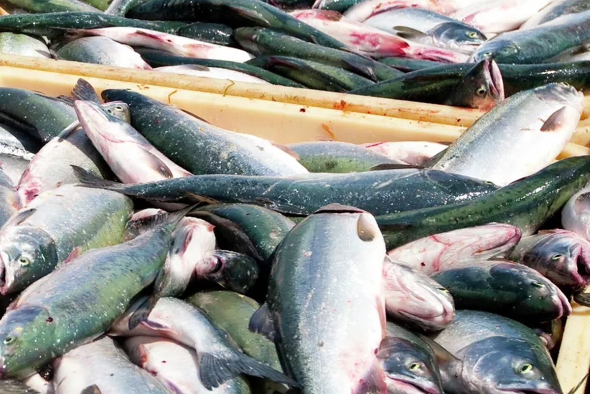    Фото: Сергей Красноухов, источник: РИА Новости