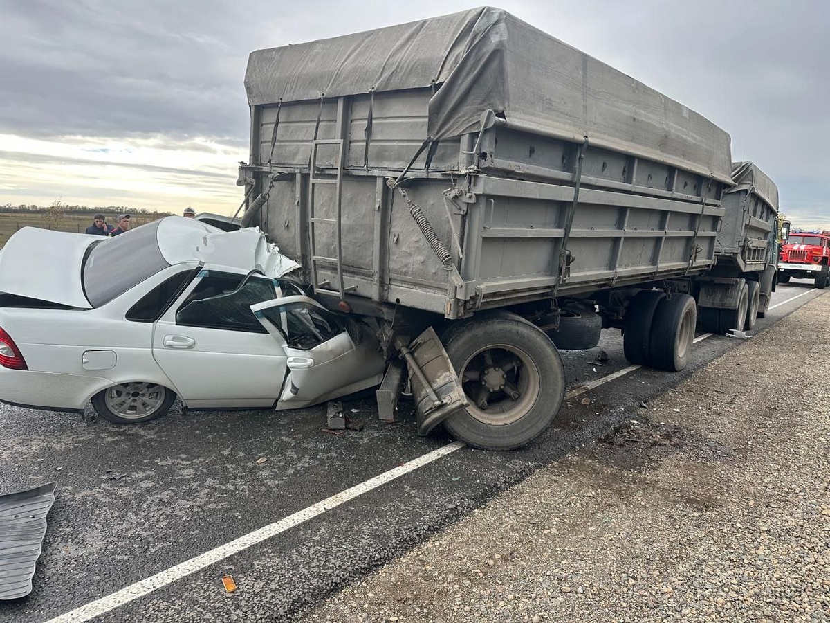    Фото: пресс-служба ГУ МВД по Краснодарскому краю