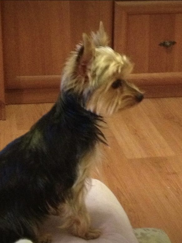 Фото было сделано 6 октября 2012 года