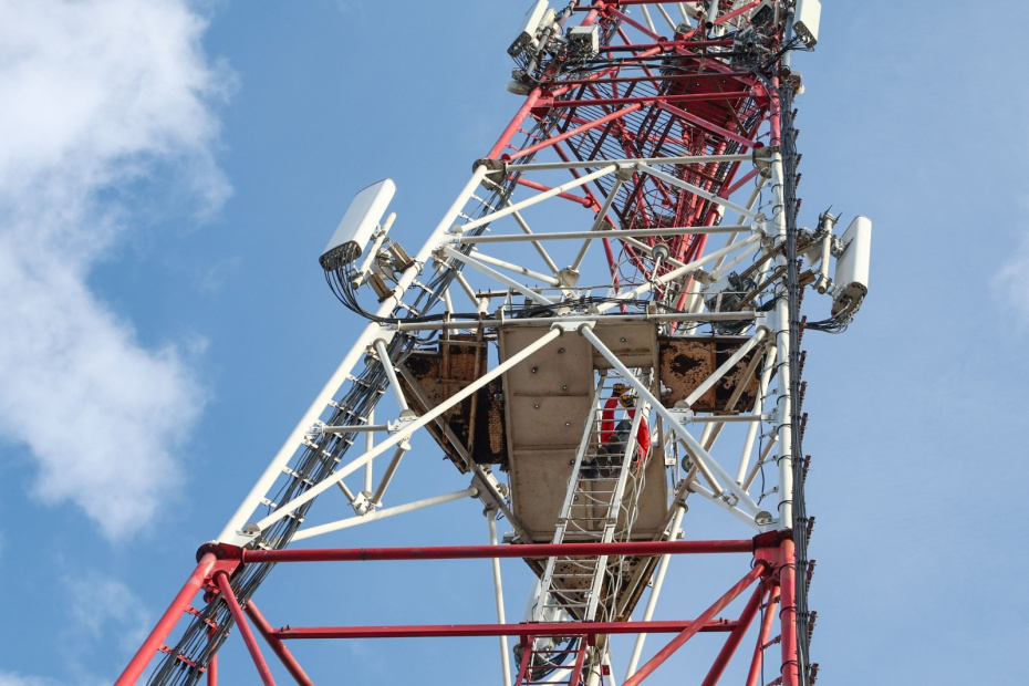    Наталья Шатохина/NEWS.ru