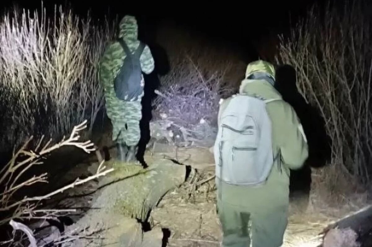    Семь квадроциклистов спасены волонтерами в лесах Тверской области